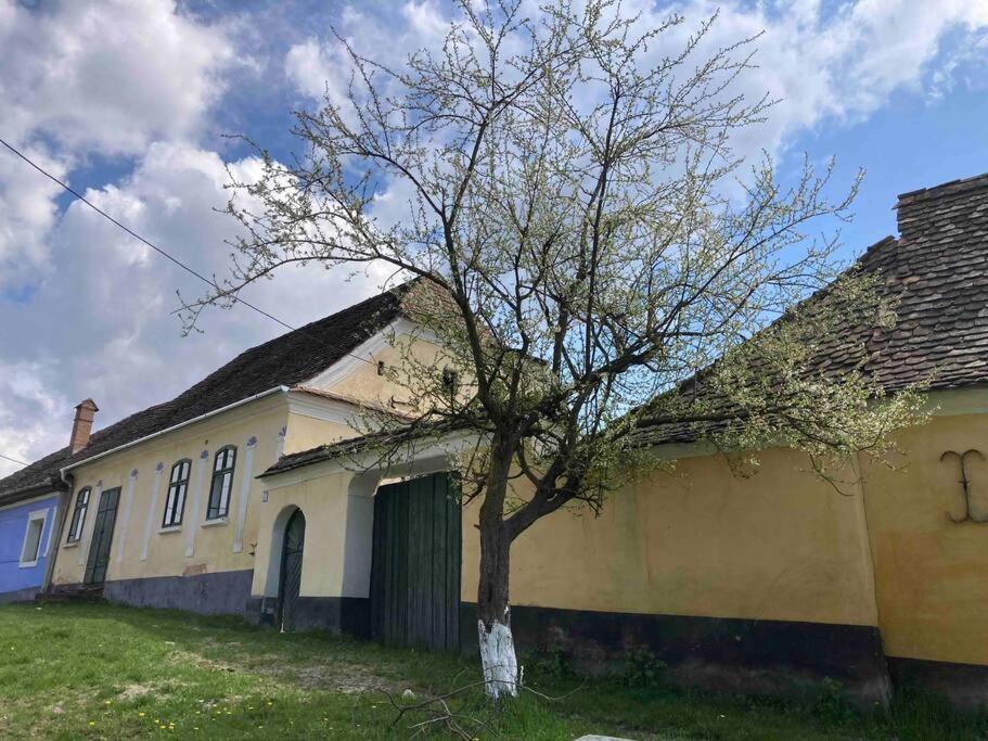 Crit House By The Church - Entire House מראה חיצוני תמונה